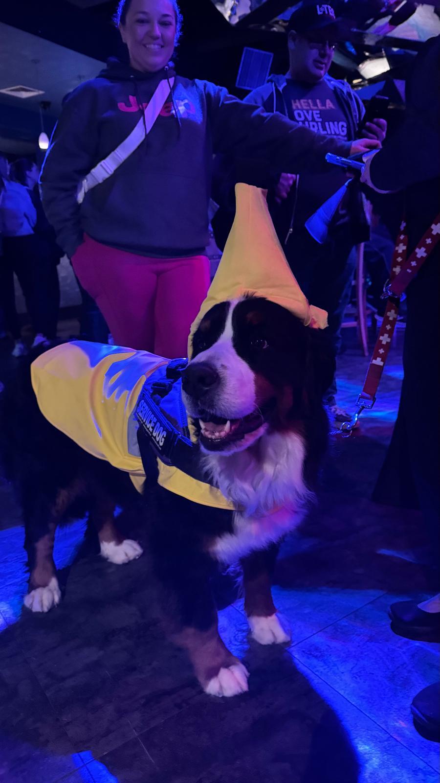 Curling Bananas Fan Club 2026/2027